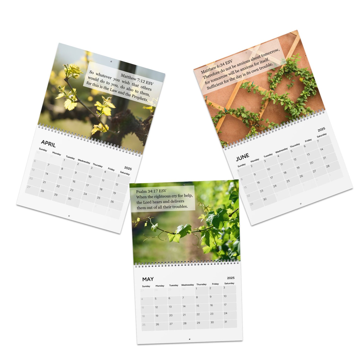 2025 Scripture Calendar - Inspirational Daily Verses for Faith and Reflection
