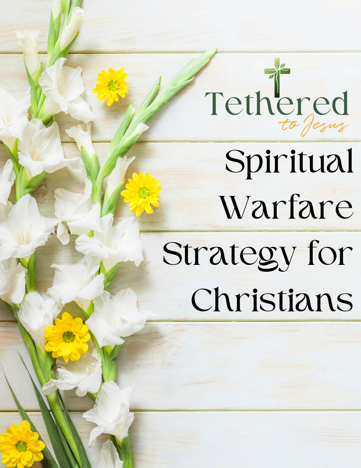 Spiritual Warfare Strategy for Christians - FREE PDF Download