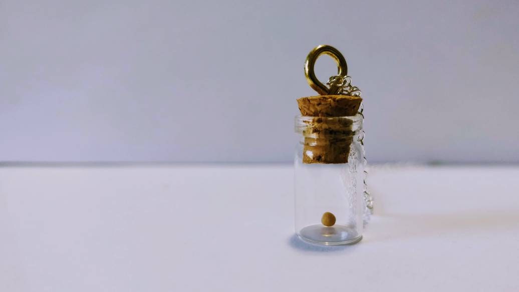 Mustard Seed Glass Jar - Necklace